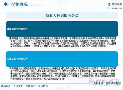 2026年中國(guó)商業(yè)大數(shù)據(jù)服務(wù)行業(yè)市場(chǎng)運(yùn)行態(tài)勢(shì)分析與未來增長(zhǎng)潛力展望