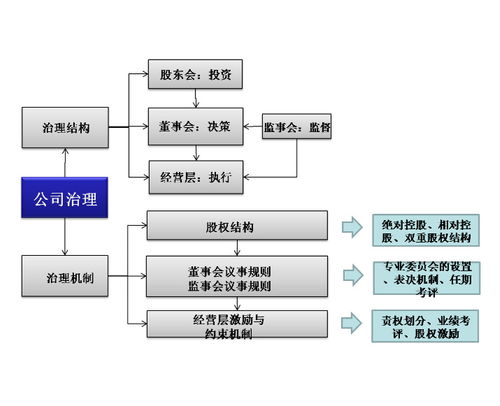 公司治理機(jī)制中的數(shù)據(jù)高效處理服務(wù)