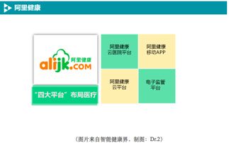 BAT如何布局移動醫(yī)療數(shù)據(jù)處理服務(wù) 戰(zhàn)略、技術(shù)與未來展望