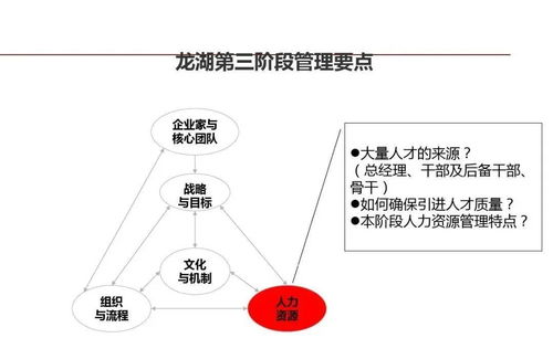 龍湖企業(yè)管理與運(yùn)營(yíng)精細(xì)化管理的信息咨詢服務(wù)