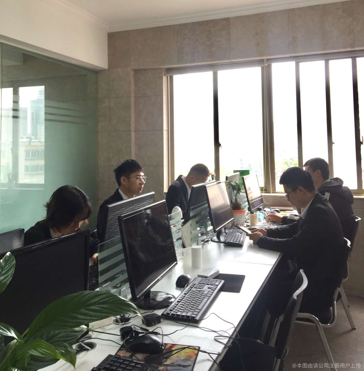 云南迪森信息咨詢服務 專業引領，智慧同行